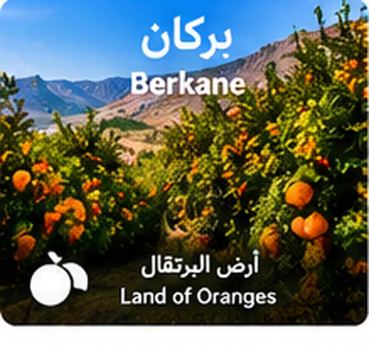 بركان